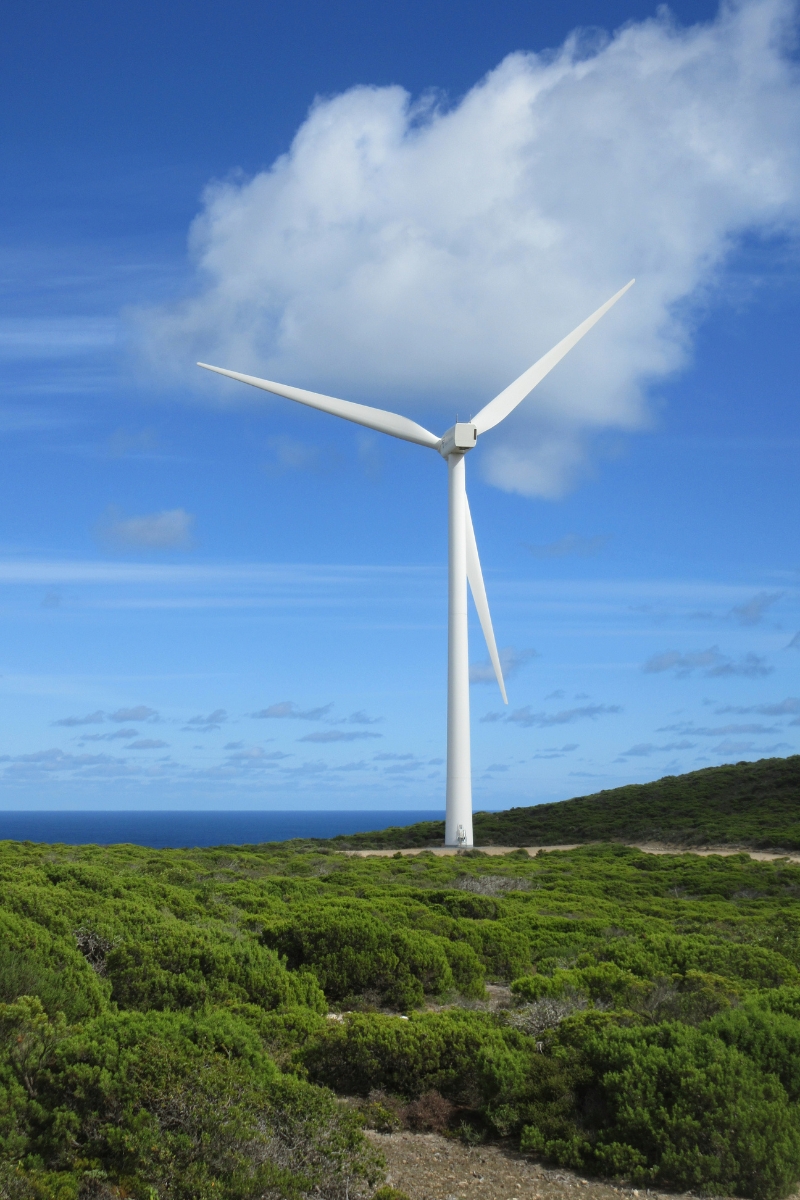 single windmill